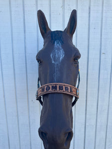 PERSONALIZED earth tone  aztec print nylon horse halter