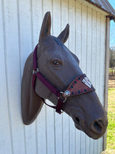Poker Cards  bronc noseband burgundy nylon horse halter