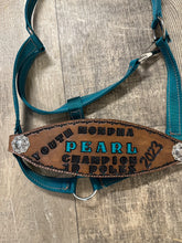 Custom award bronc noseband nylon horse halter