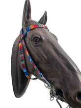 Browband Headstall serape print with horse size