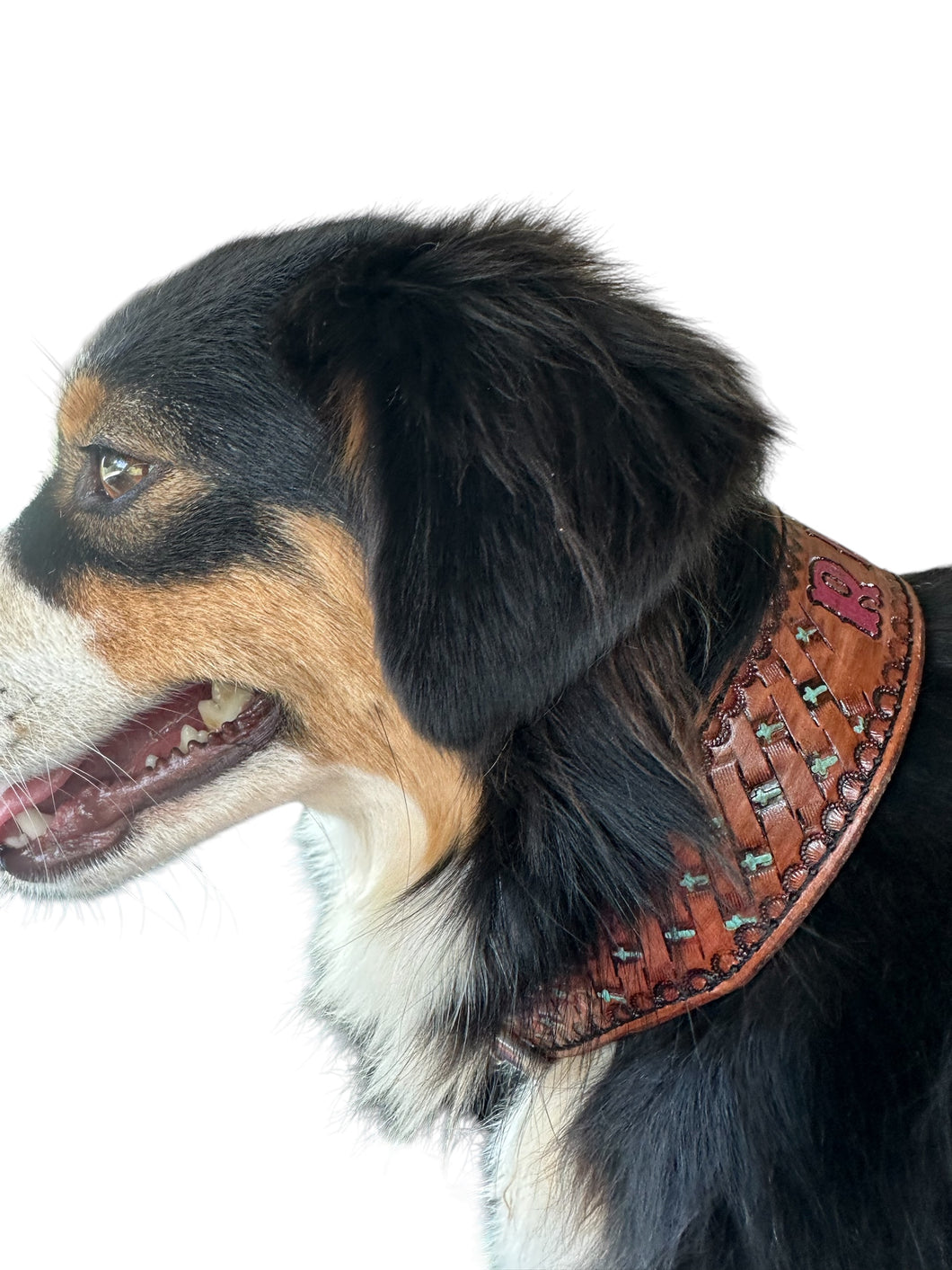 TBT Hand tooled personalized leather dog collar cross basket weave