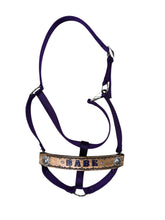 PERSONALIZED  nylon horse halter purple