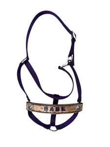 PERSONALIZED  nylon horse halter purple