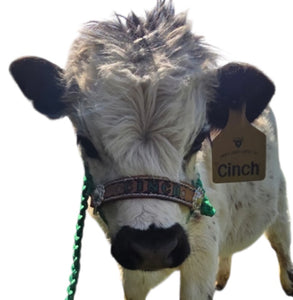 Personalized cow halter large cow or mini cow size Kelly green