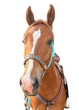 PERSONALIZED   nylon horse halter turquoise