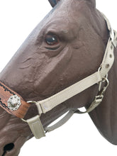 PERSONALIZED horse halter tan