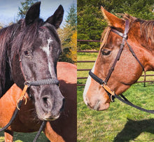 Chocolate brown side pull hackamore  bitless attachment...all sizes
