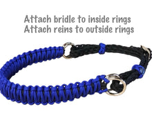 side pull hackamore electric blue   bitless attachment.... with black or brown chinstrap...all sizes