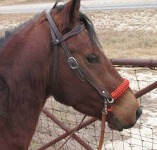 burnt orange side pull hackamore  bitless attachment.... with black or  brown chinstrap...all sizes