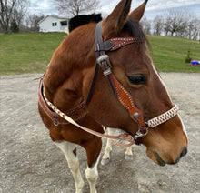 Desert tan  side pull hackamore  bitless attachment “with a whoa”.... with black or  brown chinstrap...all sizes