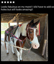 Serape  breast collar nylon horse size