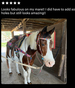 Serape  breast collar nylon horse size
