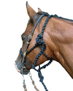 Black Braided mule tape horse halter with flat noseband