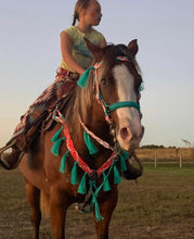 horse mule tape tack set,  (fringe breast collar, wither strap, reins, tie down,  and bridle)
