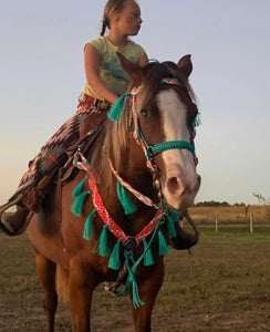 horse mule tape tack set,  (fringe breast collar, wither strap, reins, tie down,  and bridle)