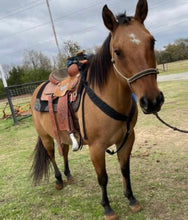 Mule tape pulling collar….breast collar