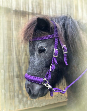 complete bitless bridle side pull hackamore with reins ....pony, Cob, Horse. or Draft horse size