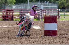 Rainbow Fringe Tack set with bitless bridle