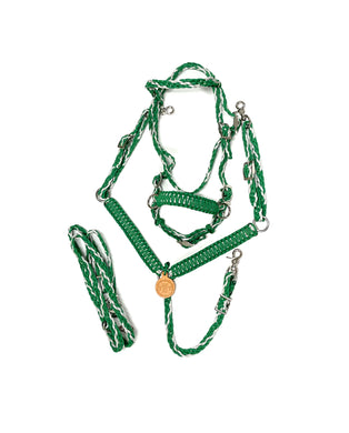 Pony Set- Kelly green and silver