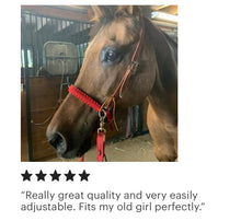 leather and paracord simple bitless bridle