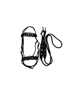 complete Bitless bridle side pull hackamore with turquoise howlite in my beaded  style
