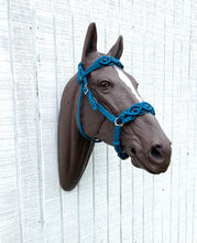 Carribean Beaded Browband Headstall with a fancy braided browband all sizes.