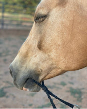 War bridle