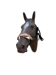 PERSONALIZED mule tape horse halter with bronc noseband