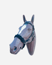Horse Bitless bridle with fancy braided side pull hackamore