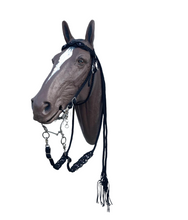 Beaded Browband Headstall with a fancy braided turquoise howlite browband  all sizes