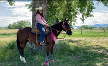 Purple  ombré Tack set …. All sizes