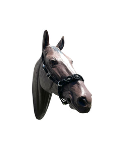 Complete Bitless Bridle macrame beaded hackamore with simple headstall