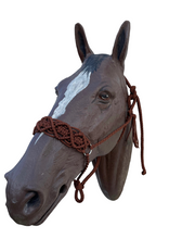 Braided horse halter