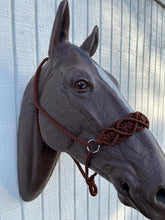 Braided horse halter