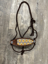 Sunflower Braided mule tape horse halter with bronc noseband