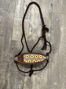 Sunflower Braided mule tape horse halter with bronc noseband