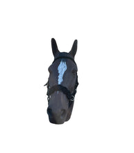 Horse Bitless bridle with fancy braided side pull hackamore