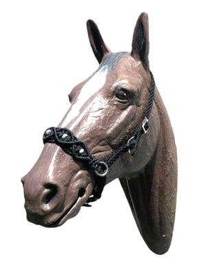 Complete Bitless Bridle macrame beaded hackamore with simple headstall