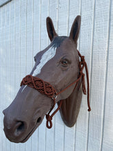 Braided horse halter
