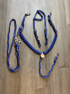 Pony Set- Tan and electric blue