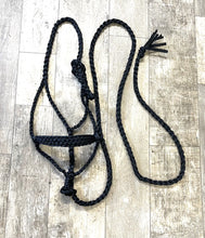 Black Braided mule tape horse halter with lead … flat noseband
