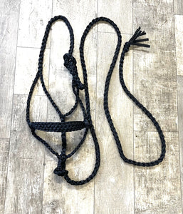 Black Braided mule tape horse halter with lead … flat noseband