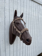 Horse Bitless bridle with fancy braided side pull hackamore