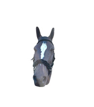 Horse Bitless bridle with fancy braided side pull hackamore