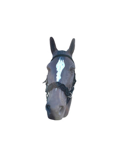 Horse Bitless bridle with fancy braided side pull hackamore