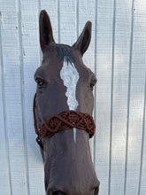 Braided horse halter