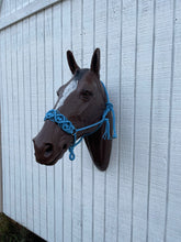 Braided horse halter.