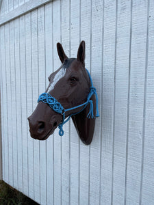 Braided horse halter.