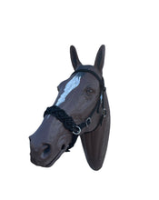 Horse Bitless bridle with fancy braided side pull hackamore