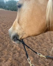 War bridle